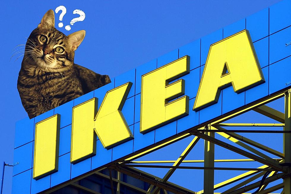 Where Is the Best Place to Put an IKEA in the Hudson Valley NY?