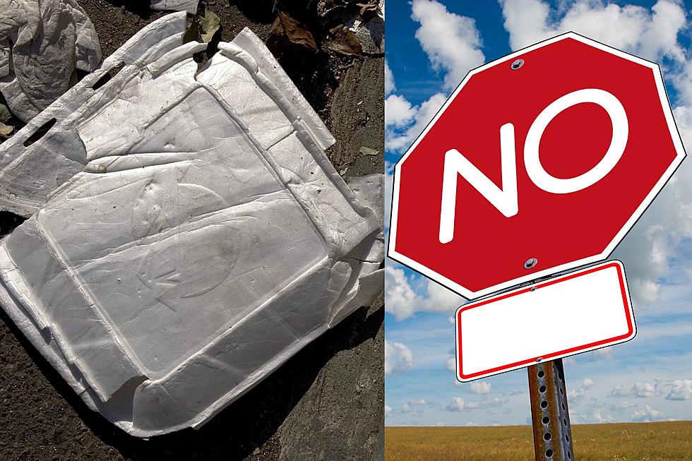 Does Styrofoam Belong In Your New York Recycling Bins?
