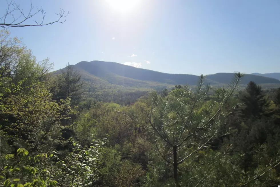 Canva, The Catskill Mountain Club
