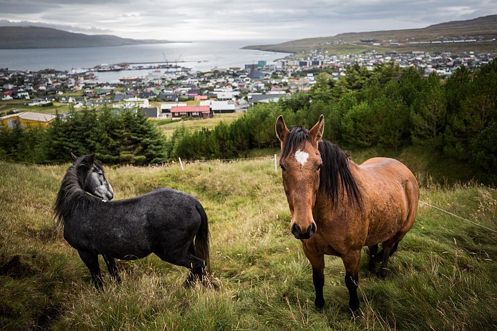 New York: Where’s the Faroe Islands? Why Should You Visit?