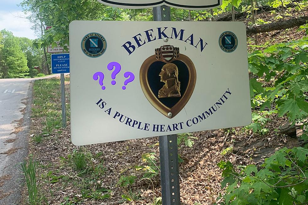 What's Does a Purple Heart Community Mean in the Hudson Valley?