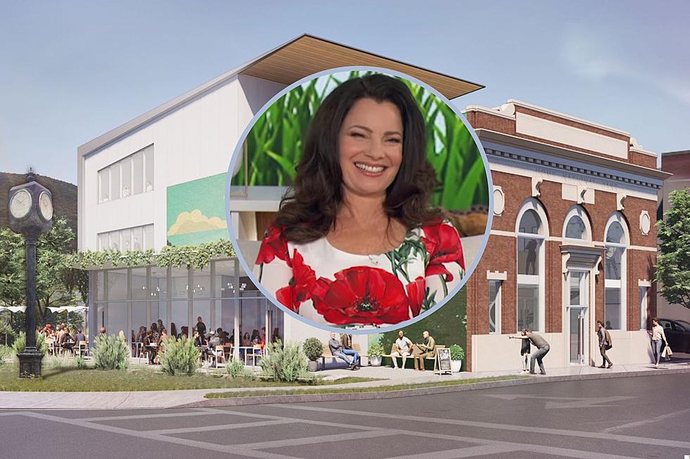 Fran Drescher and Fellow Celebrities to Sit on Hudson Valley Museum Board