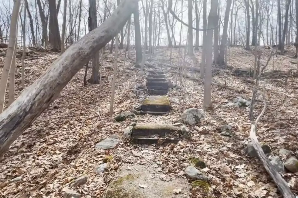 Canva, YouTube, Forgottenfilms