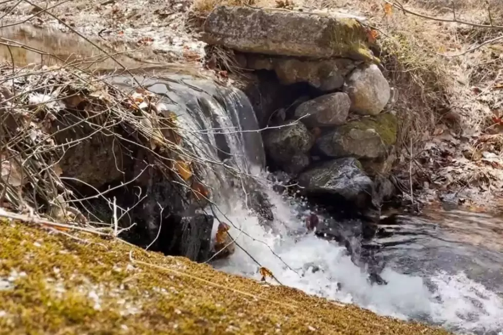 Canva, YouTube, Forgottenfilms