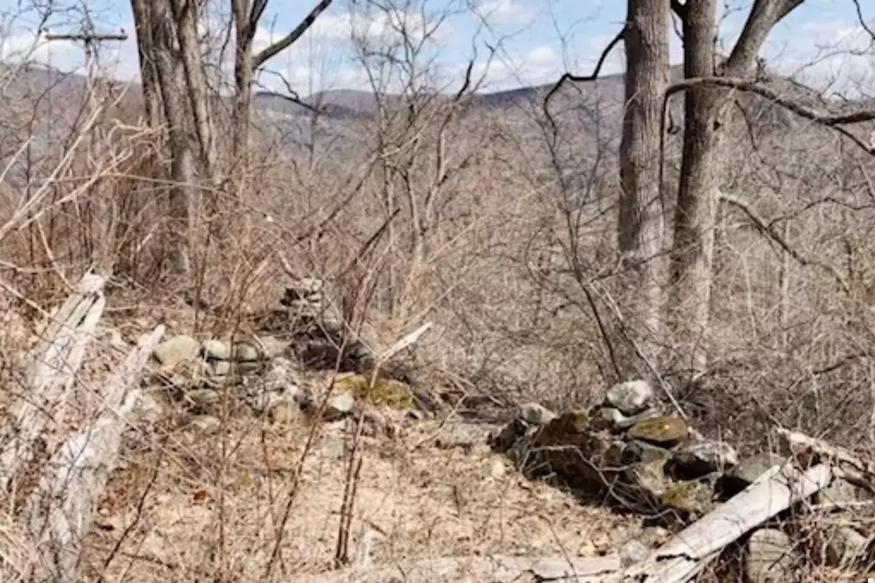 Canva, YouTube, Forgottenfilms