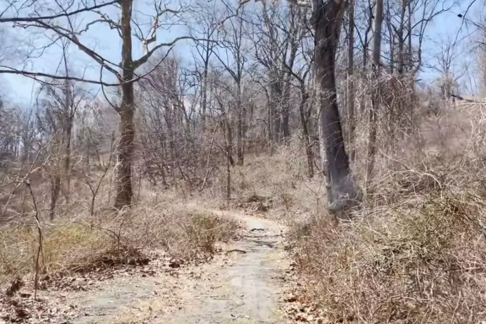 Canva, YouTube, Forgottenfilms