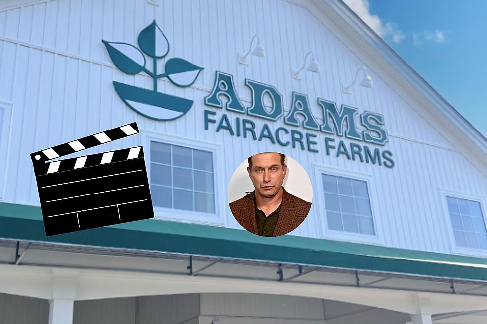 Baldwin Brother Spotted in New ‘Adams Fairacre Farms’ Commercial