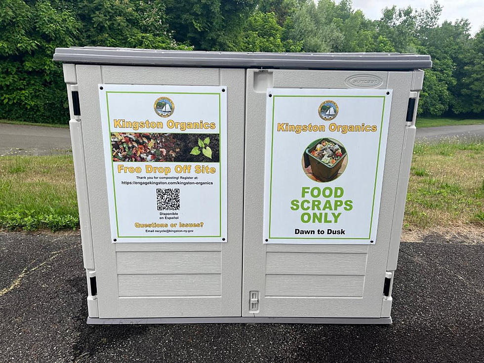 Kingston, NY Mayor Encourages You to Toss Your Food Scraps Here