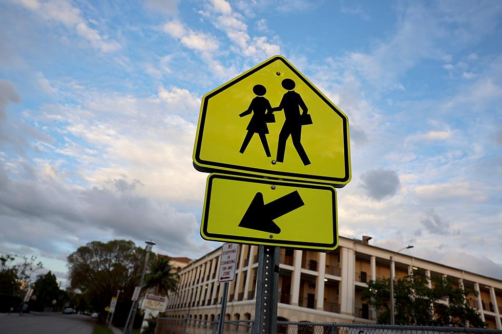 Michigan crosswalk laws: What pedestrians, drivers should do