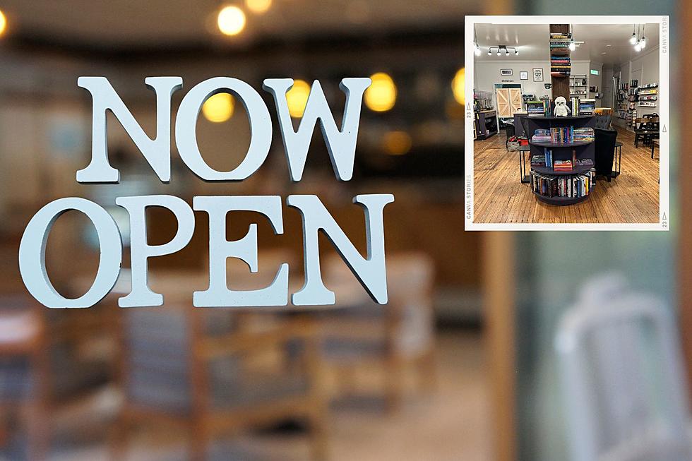 “Delicious” New Cafe and Bookstore Opens in Dutchess County, NY
