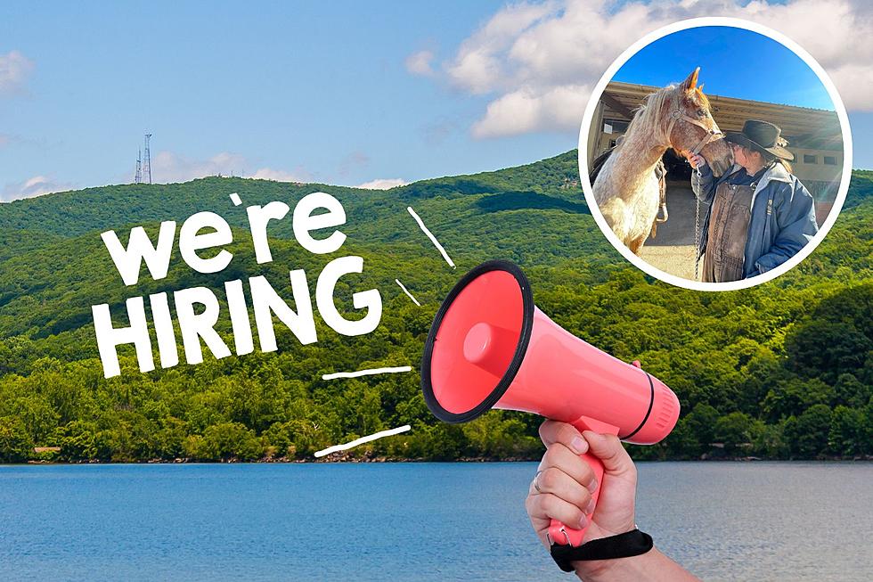 5 Of The Most Interesting Job Listings In The Hudson Valley