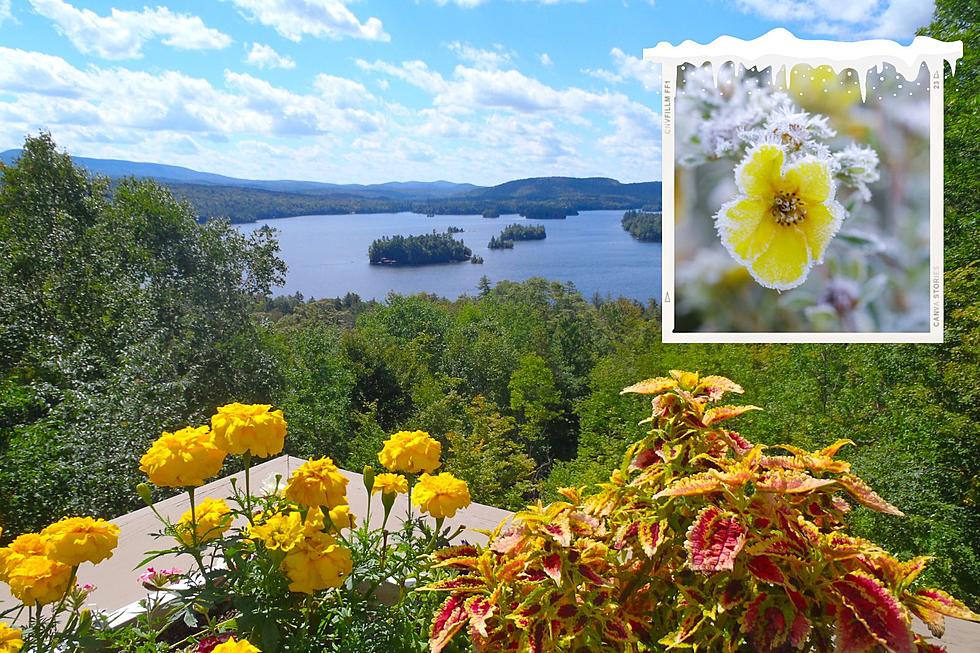 When Will Be The Last Spring Frost of 2024 in the Hudson Valley?