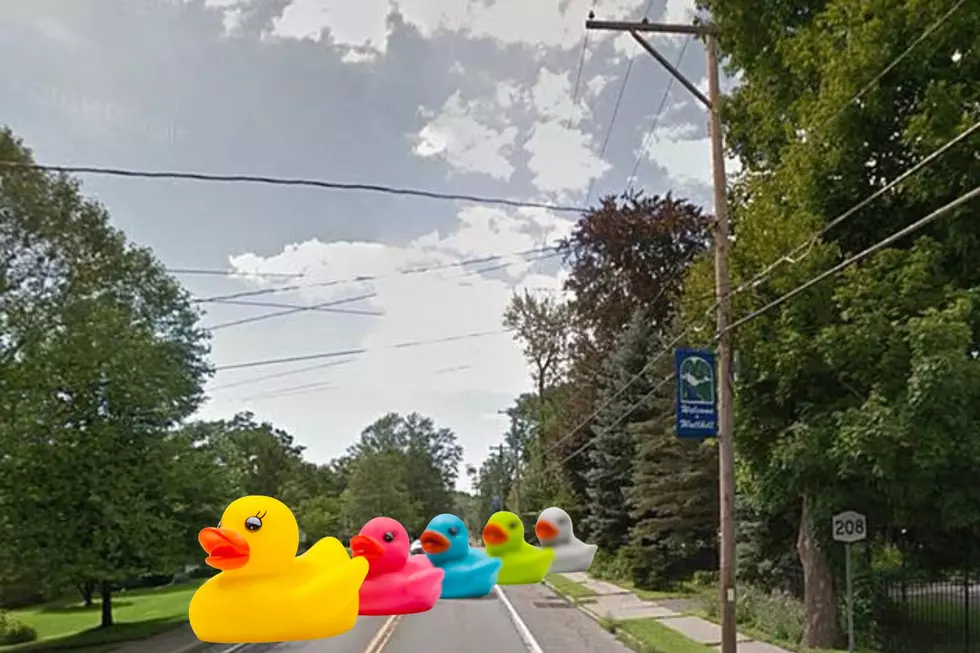 Canva, Google Maps