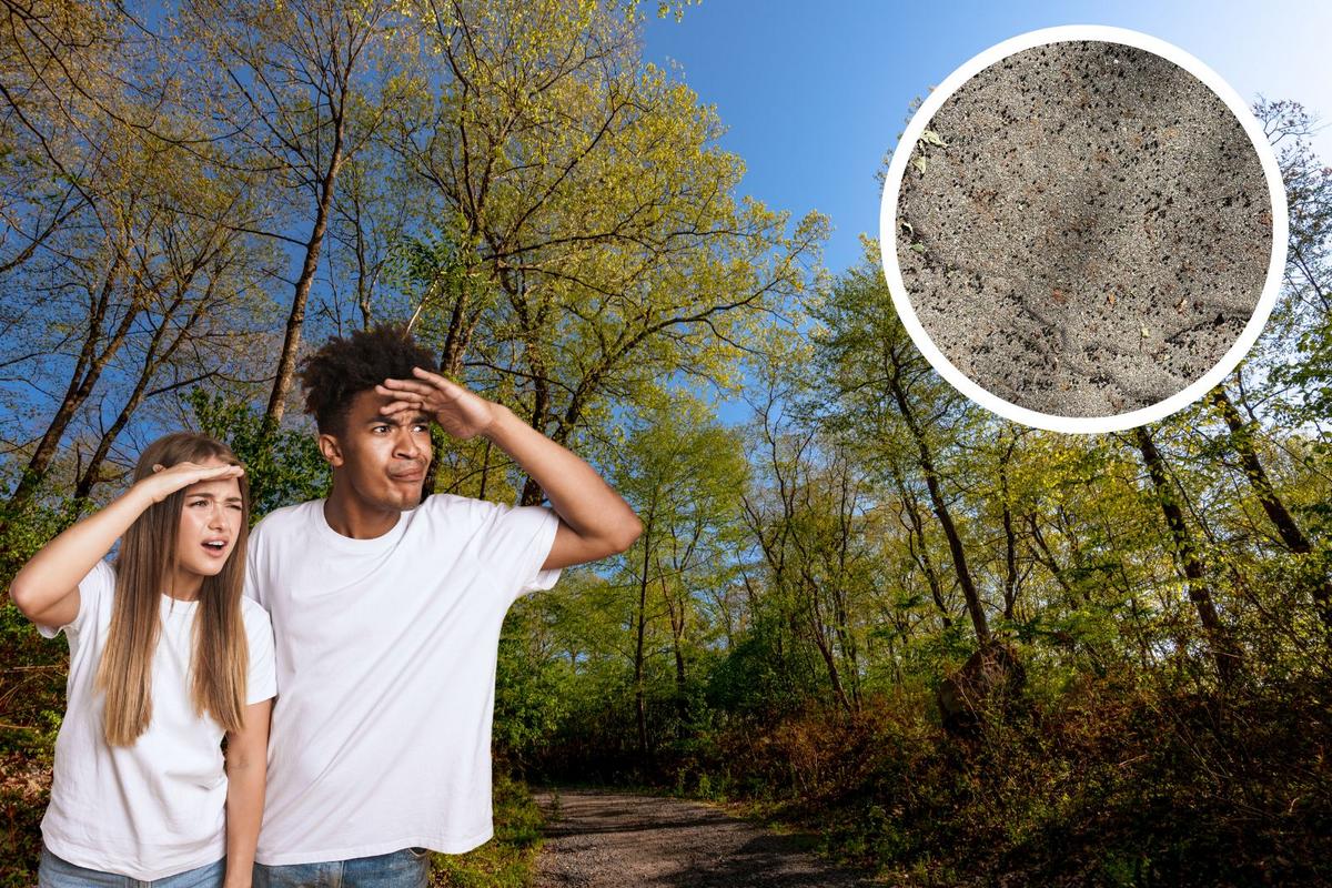 Yes, It’s Actually ‘Raining Poop’ In The Hudson Valley