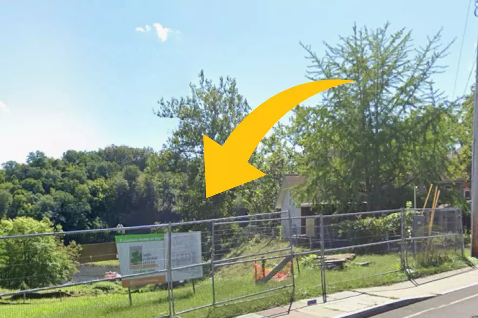 Canva, Google Maps