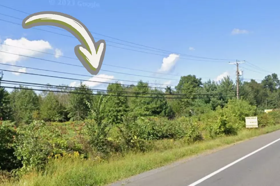 Google Maps, Canva