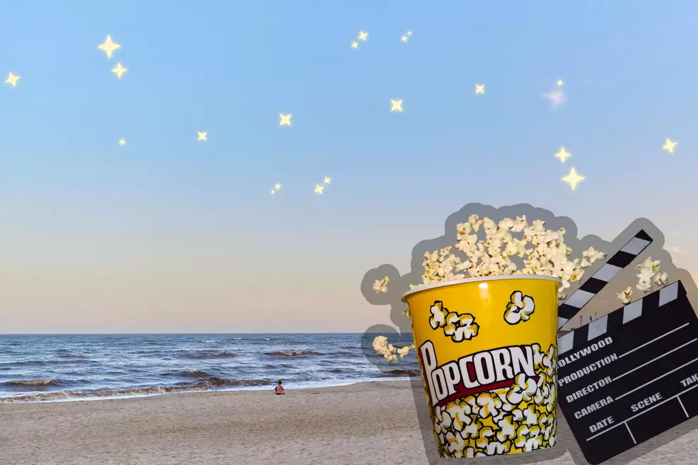 Catch A Free Movie Under The Stars At An Ulster County Beach This Summer