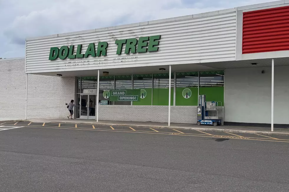 New Dollar Tree Opens In Popular Ulster County Plaza