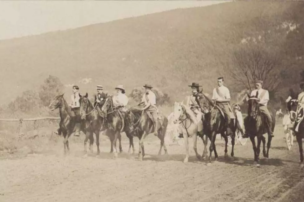 Ulster County Fair, Ellenville Public Library