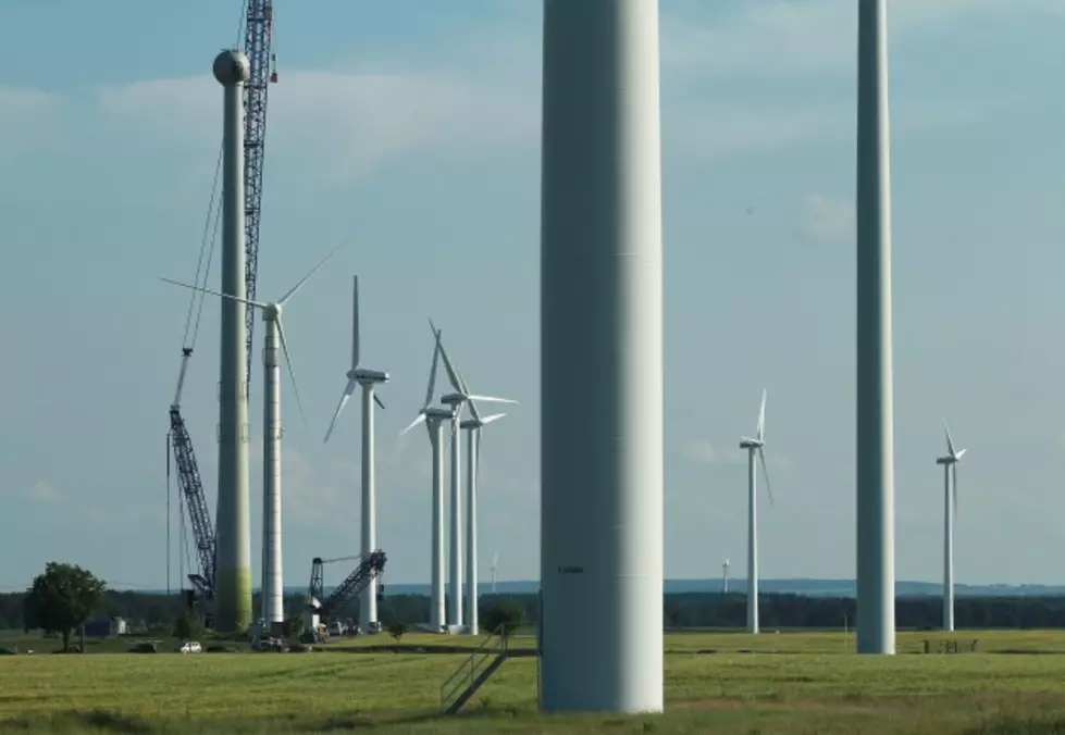 Obama Administration May Be Covering Up Eagle Deaths Caused by Wind Farms [AUDIO]