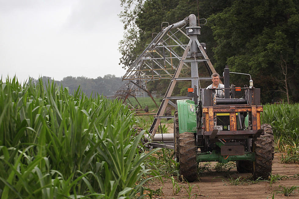 Soybean Crop Estimates Up [AUDIO]