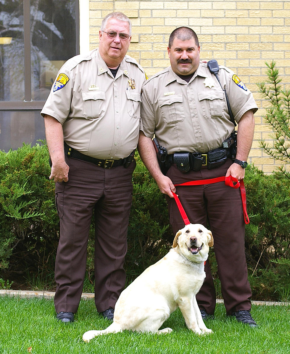 Sweetwater County Sheriff’s Drug Dog to Receive Stem Cell Therapy