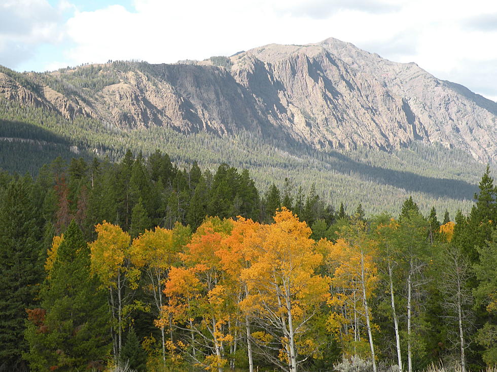 Comment Period Extended for Shoshone National Forest Plan  [AUDIO]