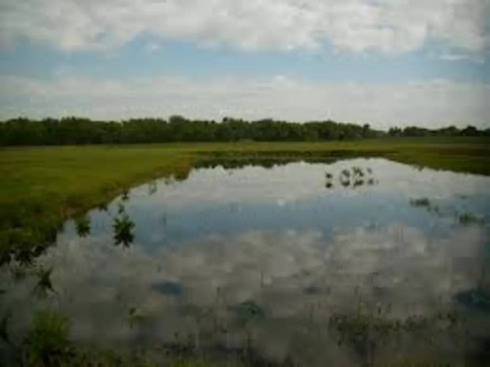USDA Wetlands Conservation Program Growing
