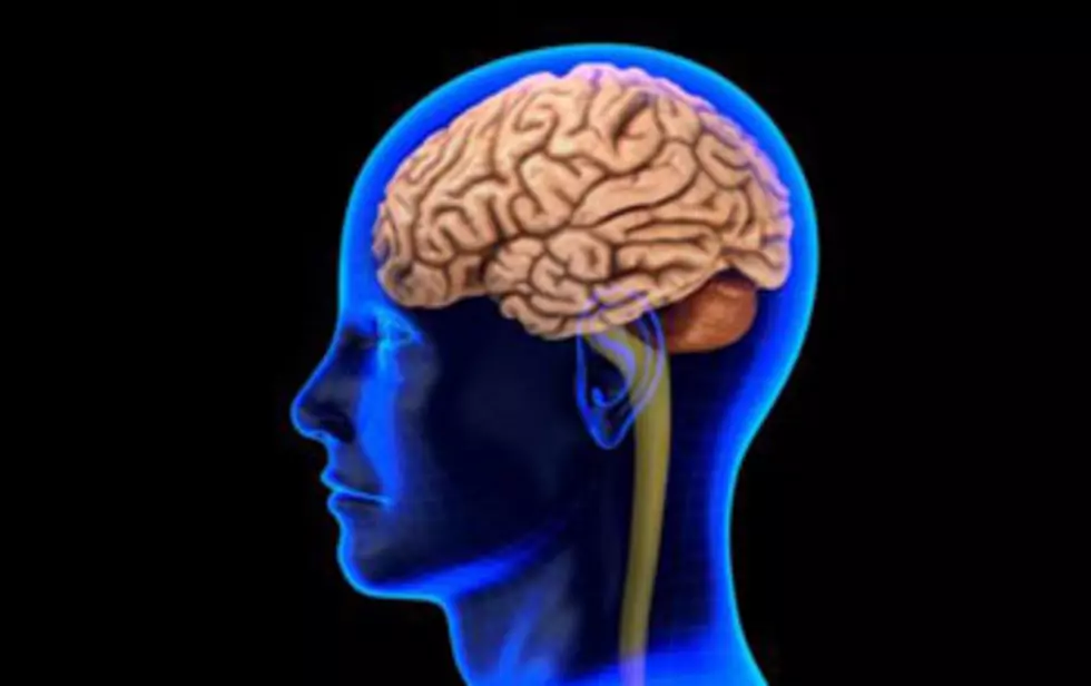 U.W. Professor: Brain Initiative Could Advance Treatment [AUDIO]
