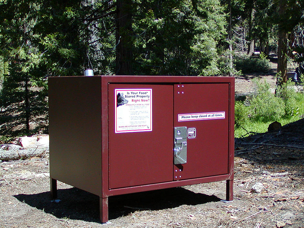 Bear Resistant lockers Donated to Bridger-Teton National Forest