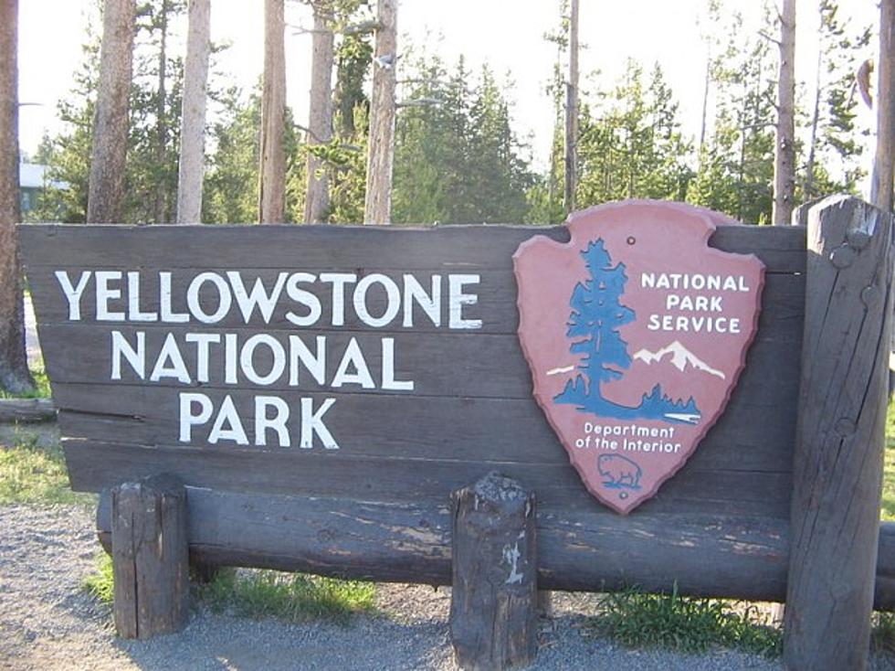 Several Fires in Yellowstone Grew on Saturday