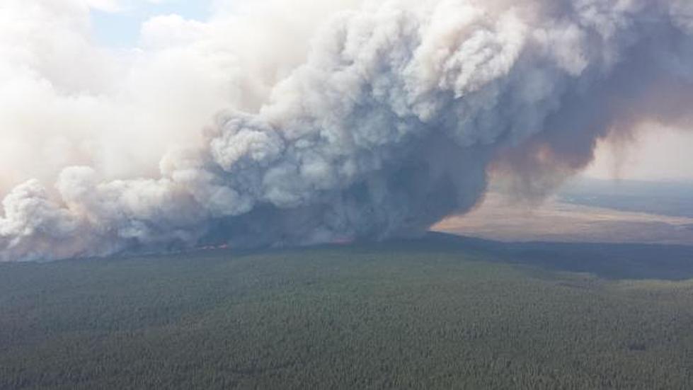 Weather Helping Keep a Lid On Yellowstone Fires [AUDIO]