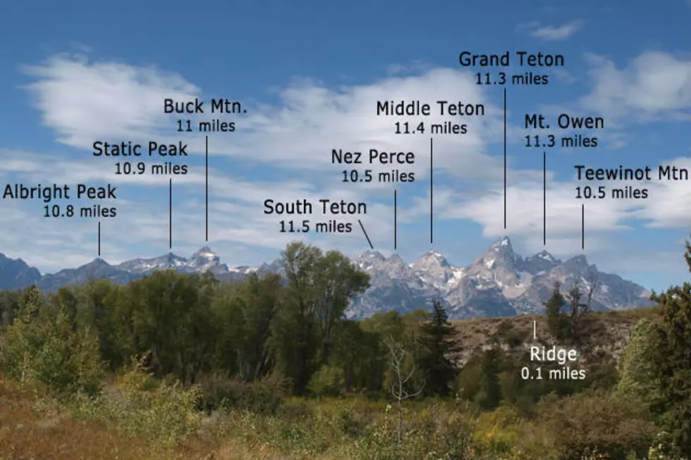 Grand Teton National Park to Shut Down Moose Visitors Center This Winter [AUDIO]