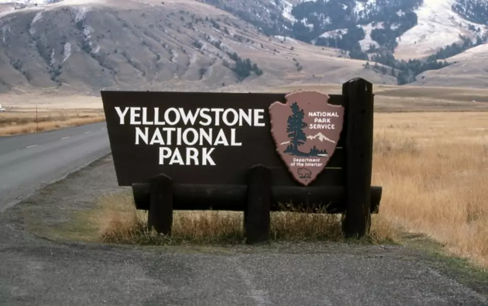 Yellowstone Visitation in 2013, The 5th Highest Ever