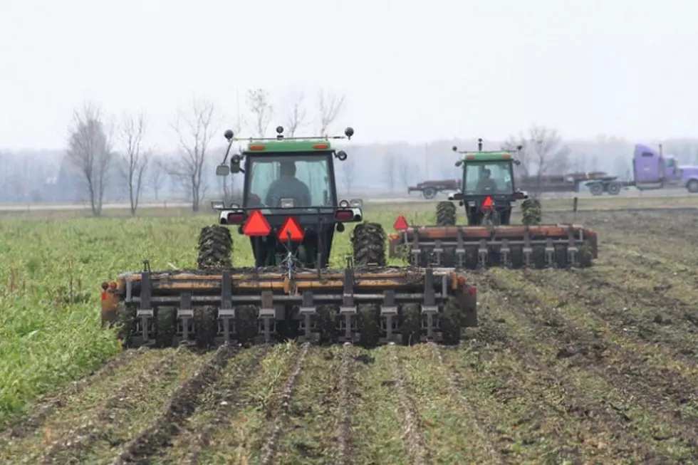 Wyoming Beet Harvest Large, Sugar Content Lower Than Usual [AUDIO]