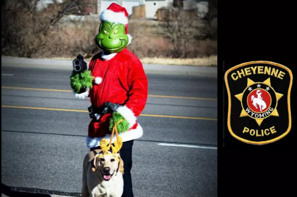 Cheyenne Police Send The Grinch Out On Traffic Patrol
