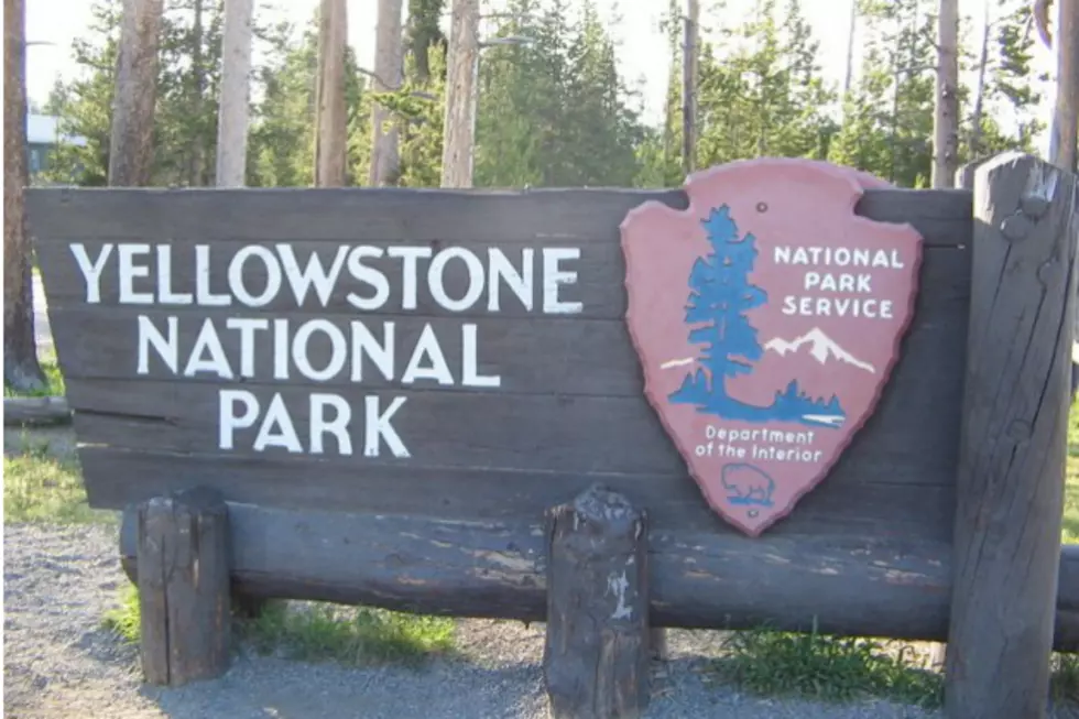 Yellowstone Visitation Nears Two Million At The End Of July