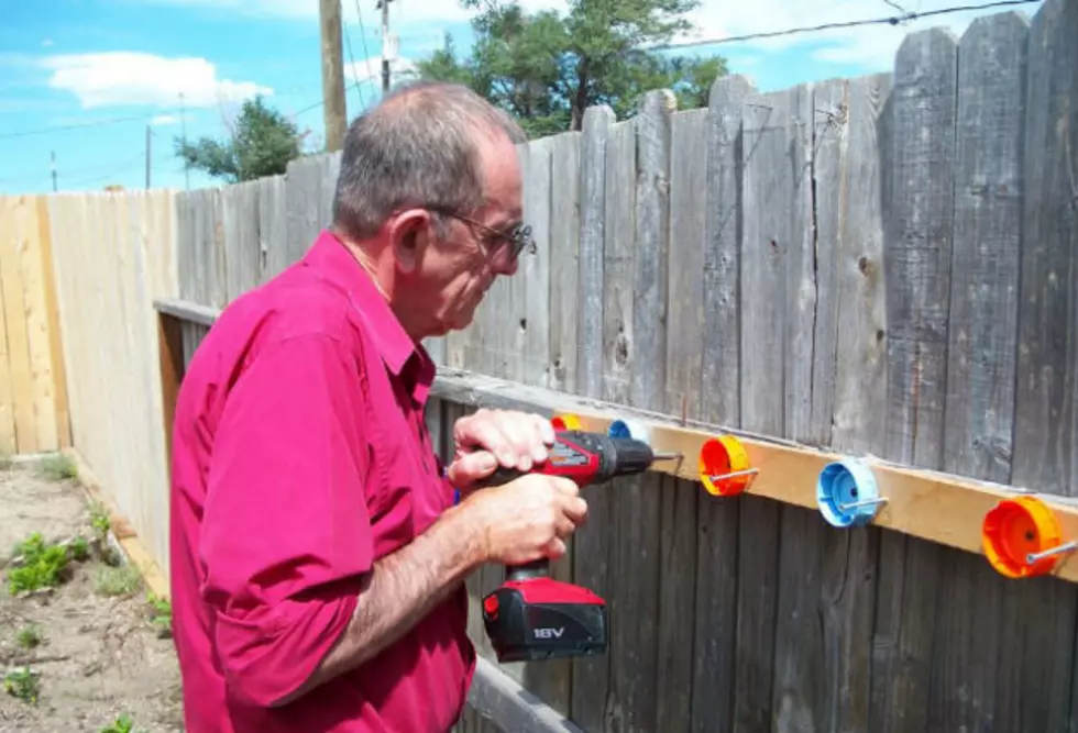 Here Are Some Food Items To Think About When Feeding Birds In Cheyenne