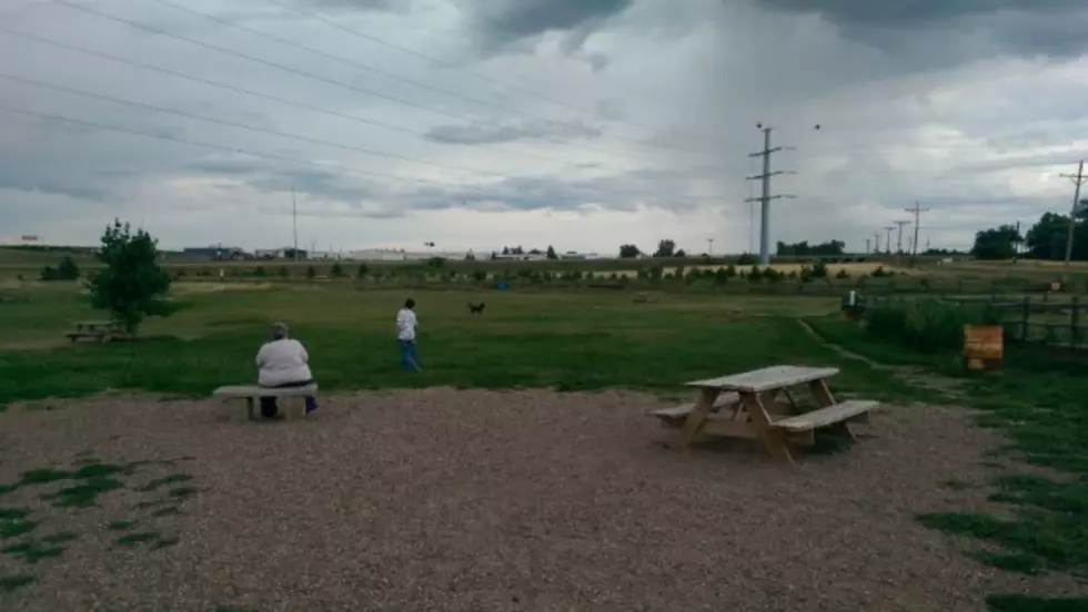 Nancy Mockler Dog Park Is A Great Place To Run Your Dog In Cheyenne!