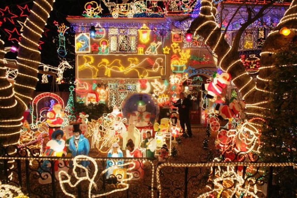 Take The Whole Family To The Denver Zoo Lights This Season