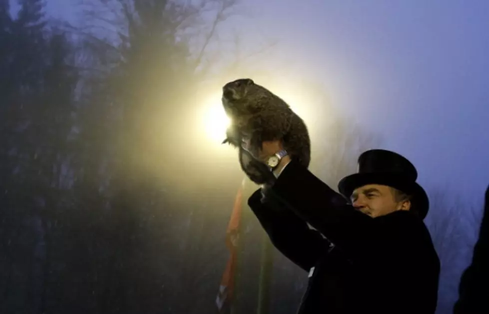 5 Groundhog Facts As We Approach &#8216;Groundhog Day&#8217; In Wyoming