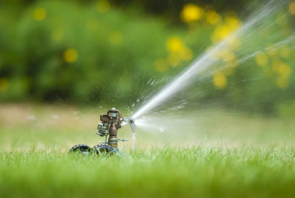 Cheyenne Summer Watering Schedule Ends