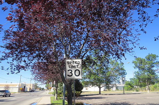 SHOULD RESIDENTIAL SPEED LIMITS GO FROM 25 TO 30 MPH? [POLL]