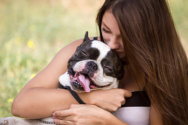 Black Dog Animal Rescue Offers Free Pet Adoption