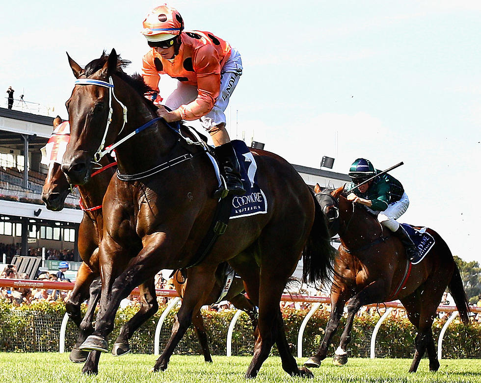 Horse Racing Back on Track