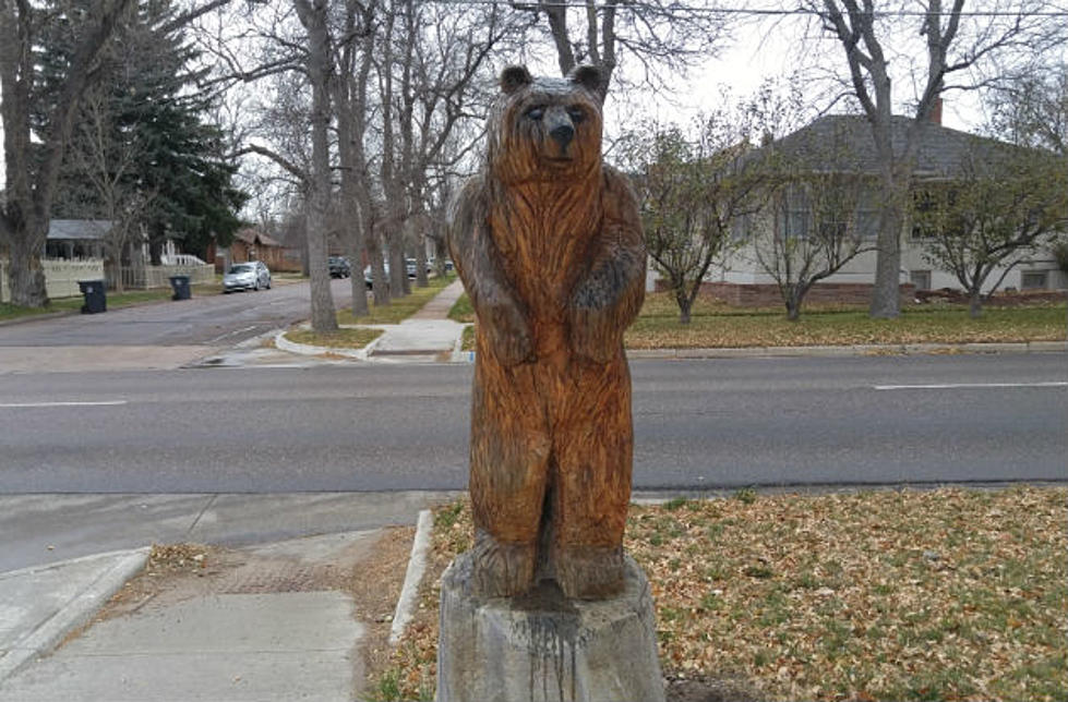 The Bear To Be Moved To Frontier Park