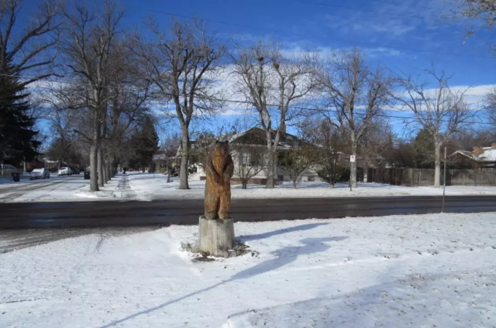 Cheyenne Residents Launch Online Petition to Save Bear Carving
