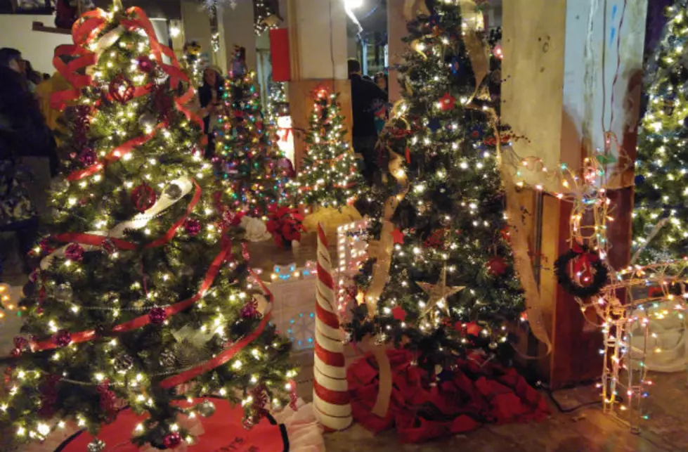 Laramie County Commissioners Christmas Trees To Help Victims Services