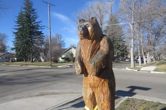 Cheyenne Mayor Speaks Out On Bear Move