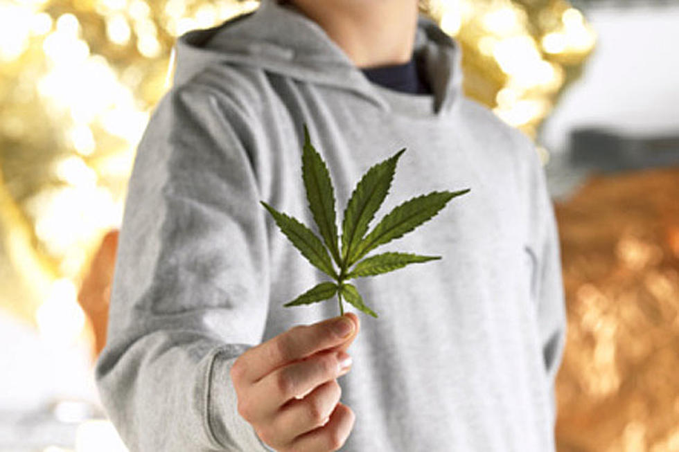 Wyoming Continues to Ponder Regulation of Marijuana Edibles